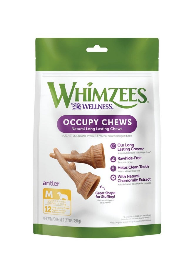 ويمزيس - من شركة Wellness Occupy Antler Natural Dental Chews For Dogs، مكافآت تدوم طويلاً، خالية من الحبوب، منعشة للنفس، سلالة متوسطة، 12 قطعة - Image 1