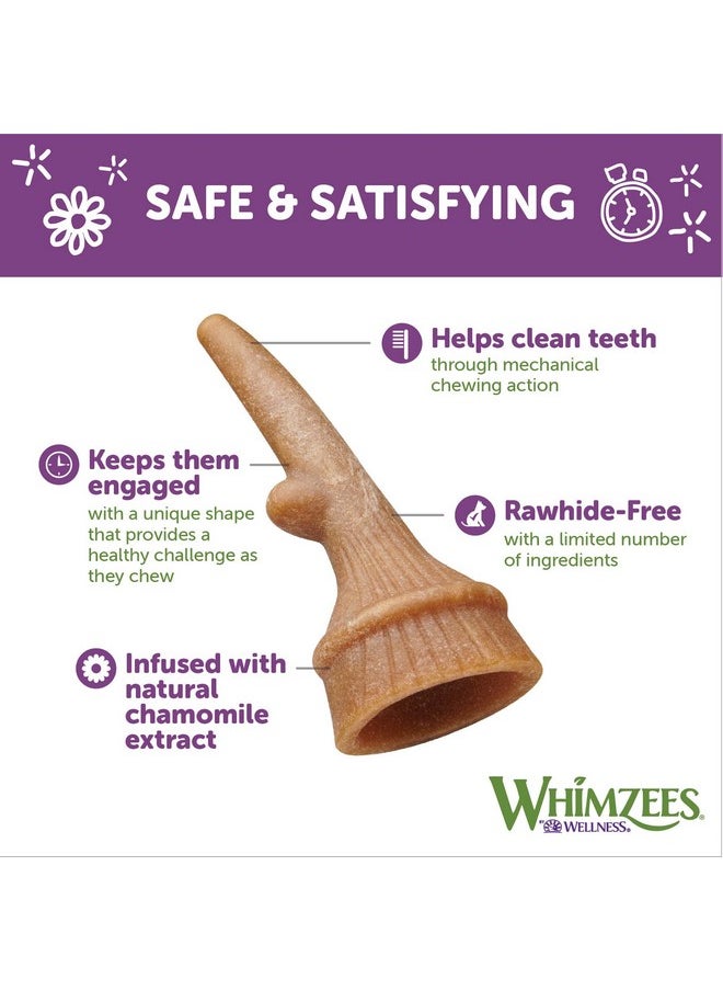 ويمزيس - من شركة Wellness Occupy Antler Natural Dental Chews For Dogs، مكافآت تدوم طويلاً، خالية من الحبوب، منعشة للنفس، سلالة متوسطة، 12 قطعة - Image 1