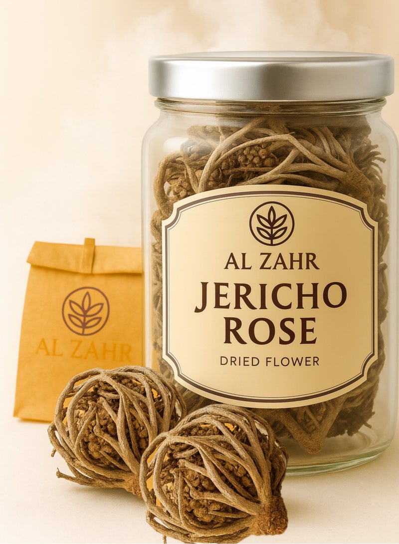 زهر وردة أريحا Anastatica hierochuntica زهرة مريم، زهرة مريم نبات القيامة (عبوة من قطعتين) - Image 1