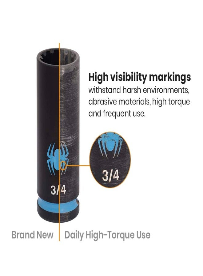 Spyder 10-Piece 3/8-Inch Drive SAE Impact Socket Set with Adapter (19702) - Image 4