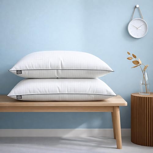 bien LIVING Ultra Soft Microfiber Anti Stress Bed Pillow for Sleeping & Neck Pain Relief for Back, Side & Stomach Sleeper, 17x27 Inches, White Grey, Pillow Set of 2 - Image 1