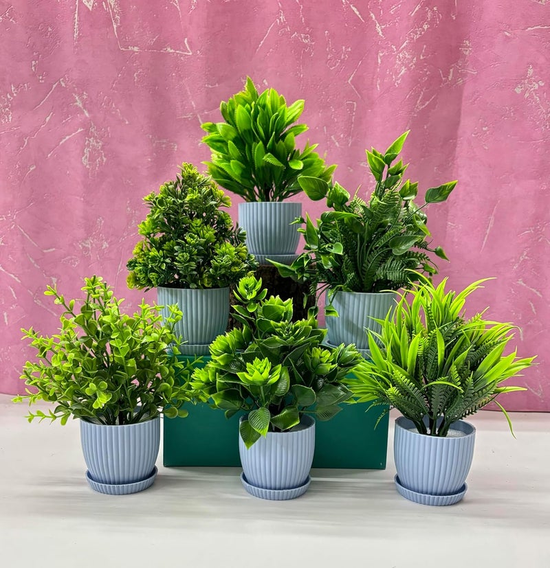 Dekorly Plastic 6 Packs Fake Plants Small,Mini Artificial Plants Indoor For Home Farmhouse Bathroom Shelf Décor(Height : 17Cm,Blue) - Image 1