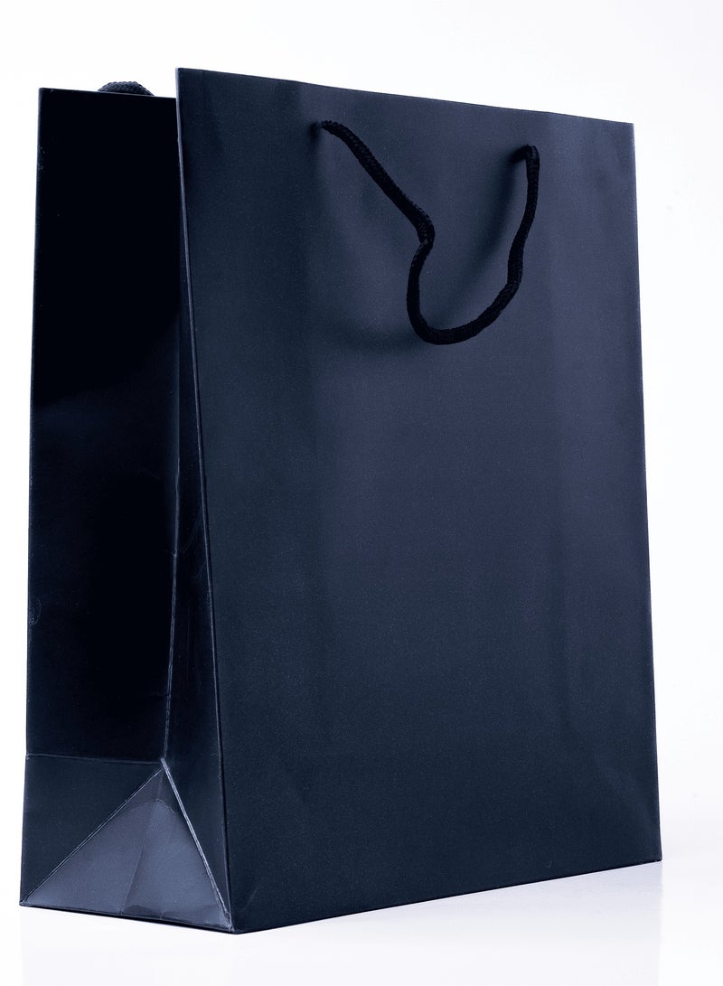 32x26x12cm Rope Handled Black Plain Paper Bags - Stylish and Eco-Friendly Shopping 
