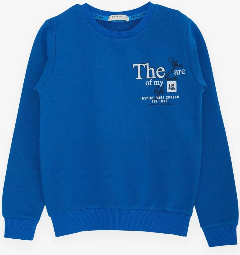 Breeze Breeze Girls & Boys Boy's Sweatshirt with Text Printed, Ages 8-14, Saks Blue