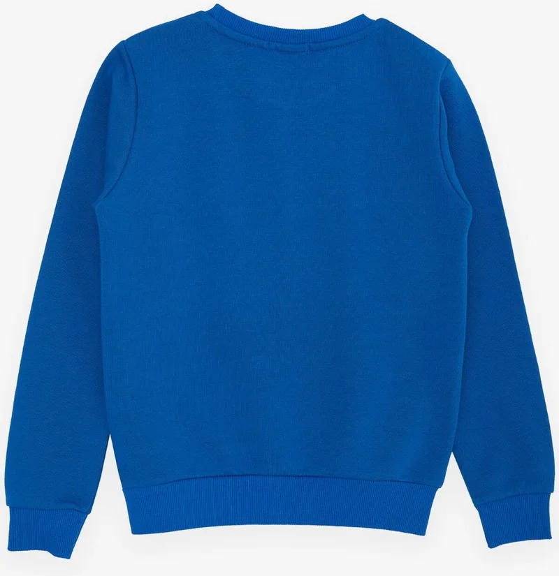Breeze Breeze Girls & Boys Boy's Sweatshirt with Text Printed, Ages 8-14, Saks Blue
