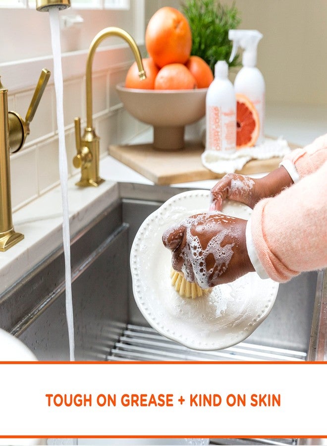 ساباديلا سائل غسيل الأطباق ساباديلا - جريب فروت + برغموت - مصنوع من مزيج زيوت عطرية نقية 100%، قوي على الدهون، سائل غسيل أطباق عطري وذو رائحة زكية، نباتي، قابل للتحلل الحيوي، 16 أونصة (عبوة واحدة) - Image 4
