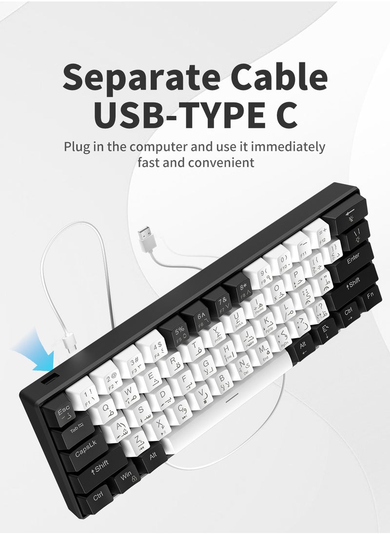 El-csele Arabic-English 61-Key Mechanical Gaming Keyboard, Red Switch, Type-C Wired, Anti-Ghosting, Dual Mode for Office & Gaming – Middle East Edition  - Image 5
