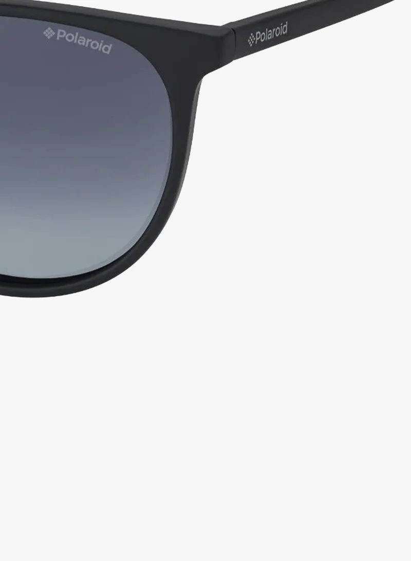 Polaroid  Panthos Polaroid Sunglasses Frames  | Best Price UAE