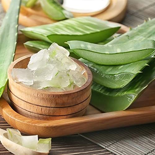 Neotea Musabbar (Aloe Resin) Powder 100g | Ghritkumari/Kathalai Katti | 100% Pure & Natural Herbal Powder | Chemical-Free | For Traditional Wellness & Skincare Use - Image 4