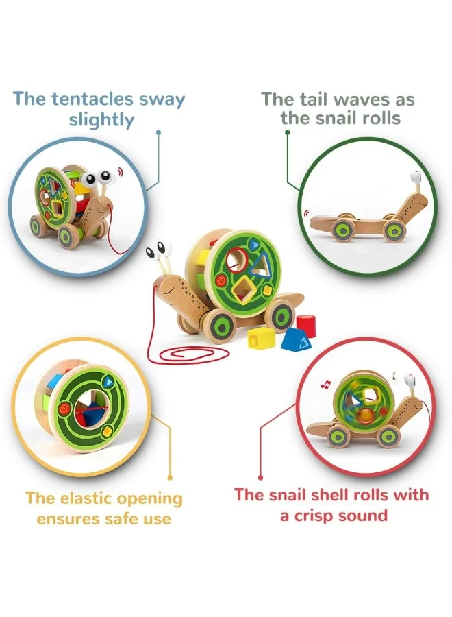 Hape Walk-A-Long Snail Pull Toy For Toddlers | Wooden Push & Pull Toy With Removable Ssorter Shell | Award-Winning Educational Toy For Motor Skills, Color Sorting, And Creativity | Ages 12+Months