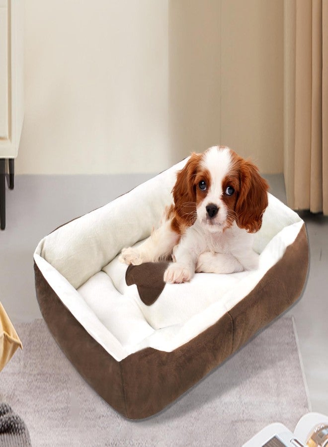 MUYG Dog Beds for Small Dogs,Rectangle Cat Beds for Indoor Cats,20"x15"x6" Washable Pet Bed with Side and Anti-Slip Bottom for Medium Dog,Kitten(Beige) - Image 4