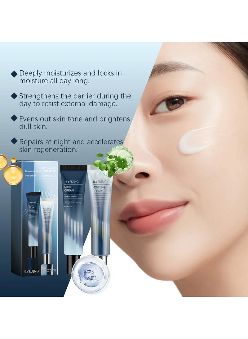 Jaysuing 31 All-Day Shield & 102 Night Renewal Cream, Moisturizing Face Cream with Centella Asiatica, Hyaluronic Acid, Niacinamide - Alcohol-Free, Promotes Elasticity & Firmness, Deep Hydration (2 PCS) - Image 4
