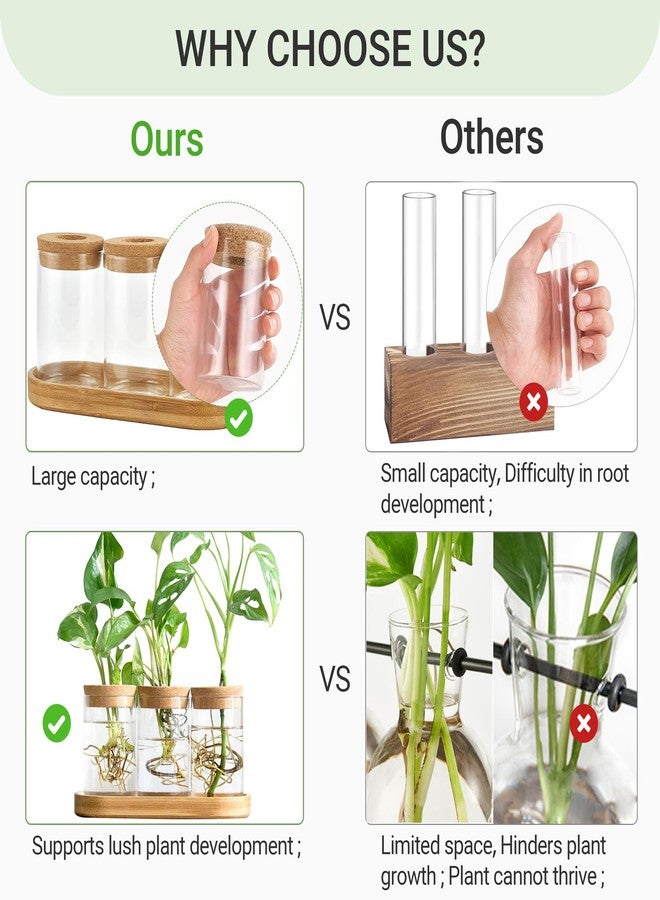 داهي حوض زراعة زجاجي مكتبي من داهي، مزود بغطاء وحامل خشبي، مثالي لزراعة النباتات المائية، قطعة مركزية لتزيين المكتب أو المنزل أو الحديقة، 4 قطع - Image 3