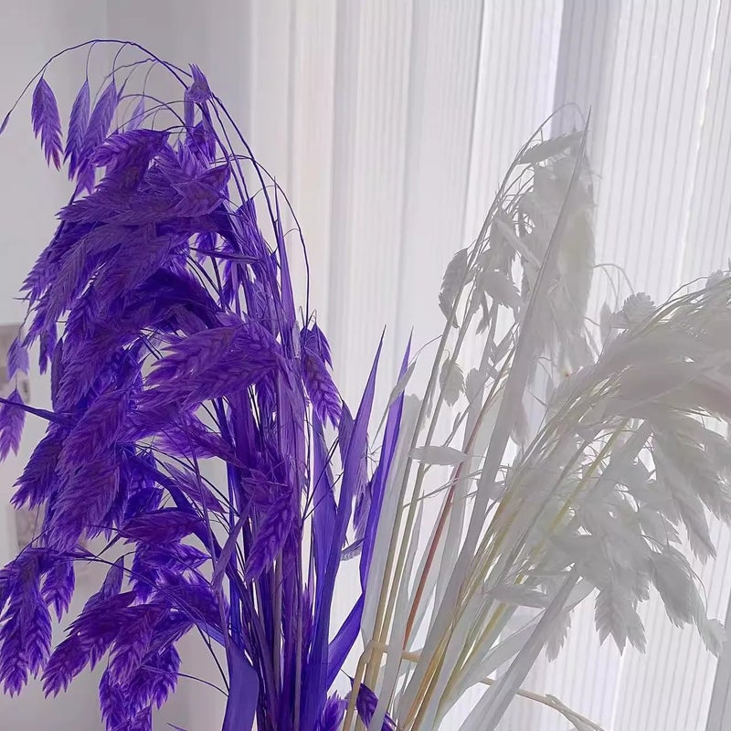 Bluejw Little Hope Grass Eternal Preserved Dried Flower Bouquet – Long-Lasting 3-5 Years, Post-Modern Home Decor Ornament with Natural Dried Plants - Image 4