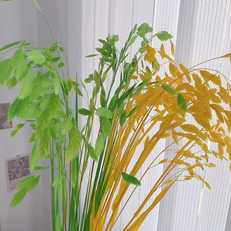 Bluejw Little Hope Grass Eternal Preserved Dried Flower Bouquet – Long-Lasting 3-5 Years, Post-Modern Home Decor Ornament with Natural Dried Plants - Image 2