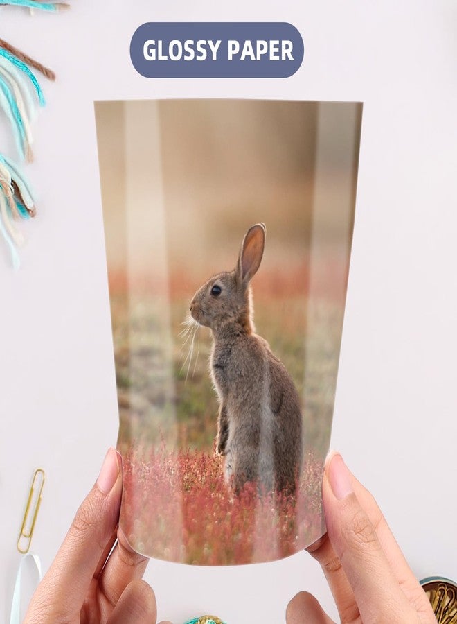 ZBEIVAN Glossy Photo Paper 4x6, 5x7, 8.5x11 inch, 150 Sheets, Inkjet Printer Paper for Dye Ink, 200 GSM (4x6, 5x7, 8.5x11 50 Sheets Each) - Image 5