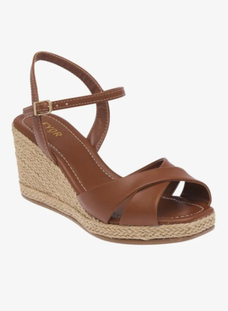 فايور بي دي في ١١٦