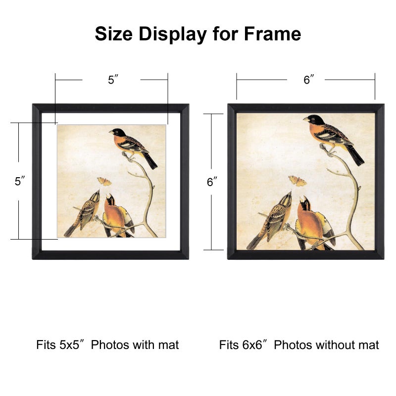 BKABOT 6x6 Picture Frame, Black Metal Photo Frames with HD Glass, Fits 5x5 with Mat or 6 x 6 without Mat, Display for Wall and Table, 1 Pack - Image 2
