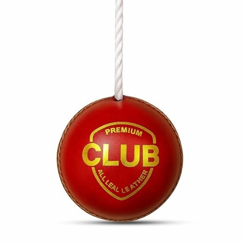 Protoner Cricket Practice Hanging Ball with Rope, Leather Training Ball, Red - Image 1