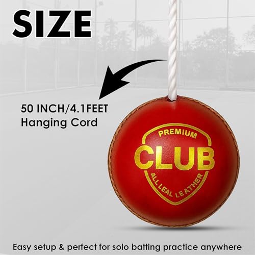 Protoner Cricket Practice Hanging Ball with Rope, Leather Training Ball, Red - Image 2