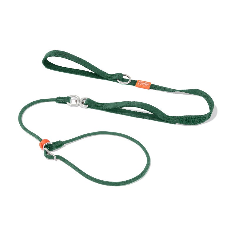 HOWGO Slip Lead Dog Leash with Double Handles | Reflective Dog Training Lead with 360Â° Swivel Anti-Tangle | Heavy-Duty Leash and Collar for Large Medium and Small Dogs No-Pull Walking (Green, 5.5FT) - Image 1