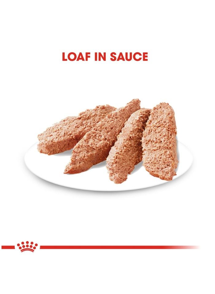 ROYAL CANIN Canine Care Nutrition Digestive Care (WET FOOD - Pouches) 12 x 85g - Image 2