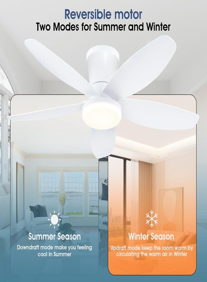 Surtime Flat Ceiling Fans with Lights and Remote & App 36IN-6666-White - Image 4