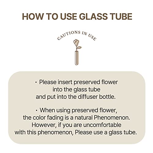 COCODOR Preserved Real Flower Reed Diffuser/April Breeze / 6.7oz(200ml) / 2 Pack/Reed Diffuser Set, Oil Diffuser & Reed Diffuser Sticks, Home Decor & Office Decor, Fragrance and Gifts - Image 5