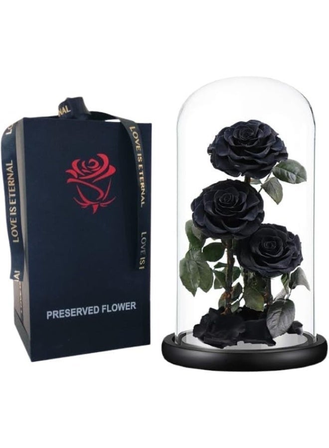 معرض الأعياد وردة كبيرة محفوظة يدوياً، لا تذبل أبداً، هدية عيد الحب، هدية زفاف، ذكرى زواج، عيد ميلاد، هدية عيد الأم، أفضل هدية لها، 33×17×17 سم (أسود) - Image 1