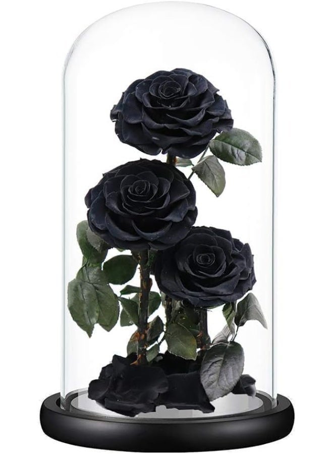 معرض الأعياد وردة كبيرة محفوظة يدوياً، لا تذبل أبداً، هدية عيد الحب، هدية زفاف، ذكرى زواج، عيد ميلاد، هدية عيد الأم، أفضل هدية لها، 33×17×17 سم (أسود) - Image 3