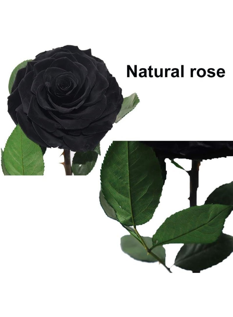 معرض الأعياد وردة كبيرة محفوظة يدوياً، لا تذبل أبداً، هدية عيد الحب، هدية زفاف، ذكرى زواج، عيد ميلاد، هدية عيد الأم، أفضل هدية لها، 33×17×17 سم (أسود) - Image 4