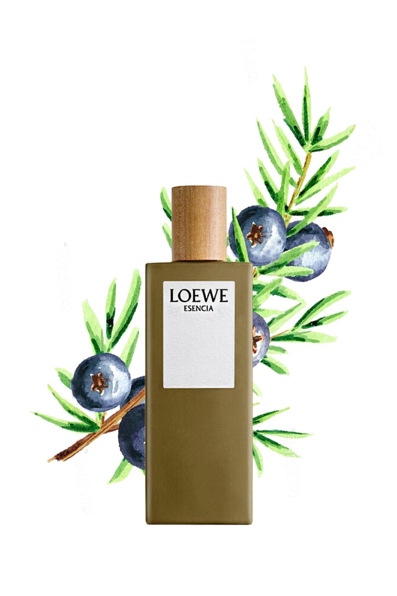 Loewe Esencia Eau de Toilette for Men 100ml - Image 3