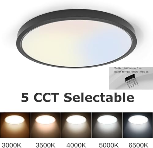 TALOYA Flush Mount LED Ceiling Light Fixture Black,12 Inch 20 Watt, Thin Ceiling Lamp Surface Mount for Kitchen Bedroom Utility Laundry Closet Room,5 Color Temperatures in One - Image 2