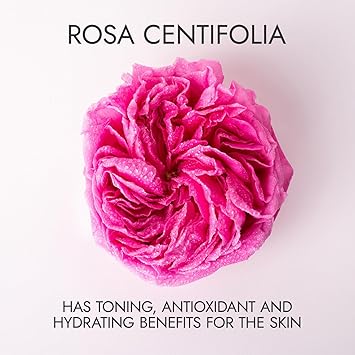 Alteya Organic Centifolia Rose Water Spray 100ml 100 USDA Certified Organic Authentic Pure Natural Rosa Centifolia Flower Water SteamDistilled and Sold Directly by The Rose Grower Alteya Organics - Image 2