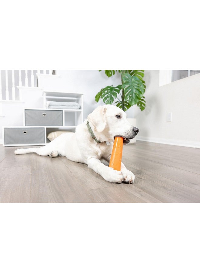 Chuckit! Super Crunch Fetch Stick Dog Toy, 9.2 inches in Length, Medium-Large, for Breeds 20-100 lbs - Image 5