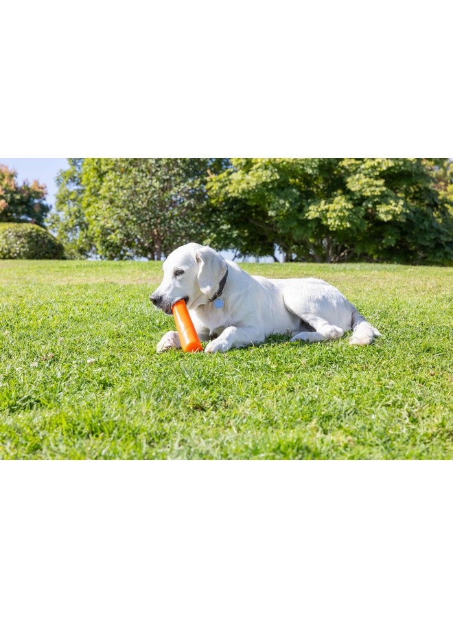 Chuckit! Super Crunch Fetch Stick Dog Toy, 9.2 inches in Length, Medium-Large, for Breeds 20-100 lbs - Image 4
