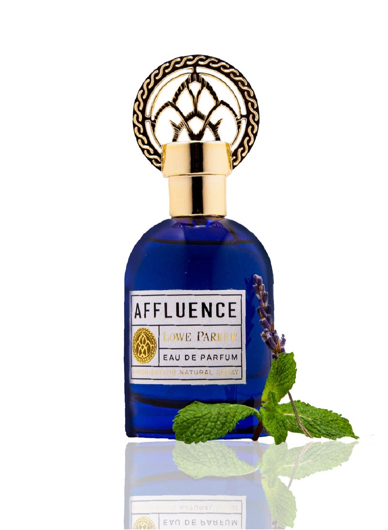 لوي باركر عطر لو باركر افلوينس او دي بارفان للنساء 100 مل - Image 2