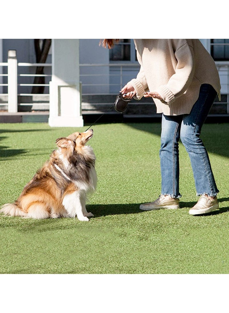 fida Retractable Dog Leash Blue - Large Step-in Dog Harness – Reflective Blue - Large - Image 4