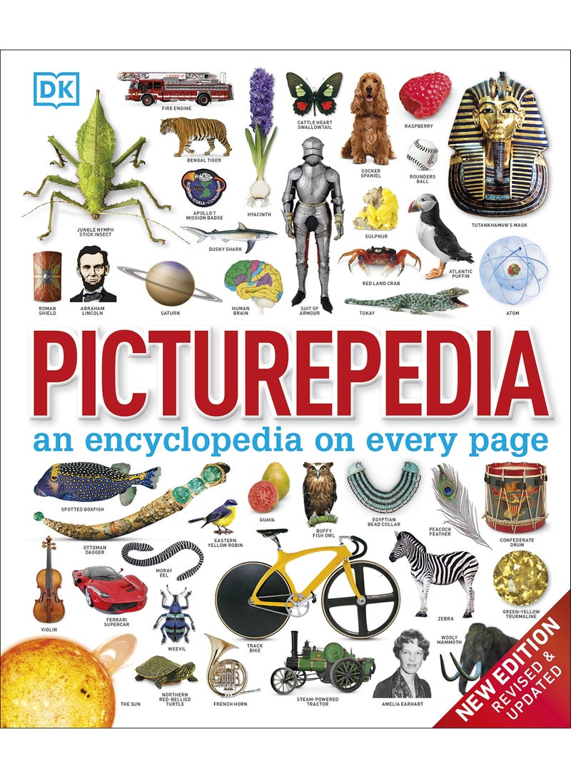 Picturepedia: an encyclopedia on every page