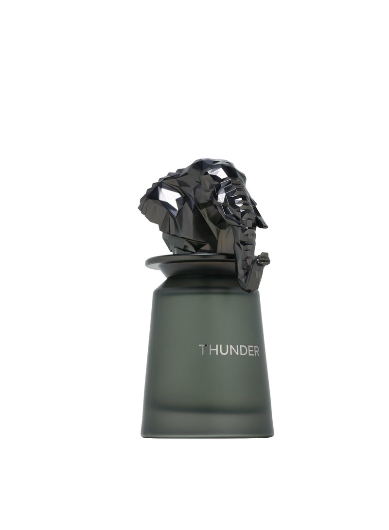 French Avenue Thunder - Eau de Parfum - Perfume For Men, 100ml - Image 5