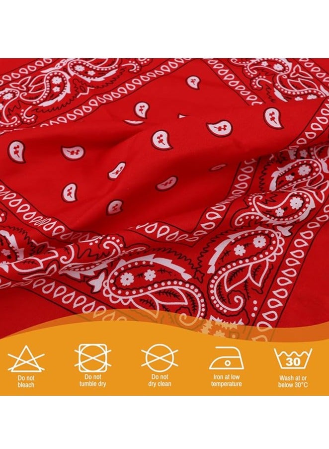 SRLIWHITE Versatile Paisley Bandana Set, 6 Pack Polyester Headbands, Square Scarves, Cowboy Bandanas for Men, Women, Ideal for Hip-Hop, Cycling, Handkerchief Use - Image 3