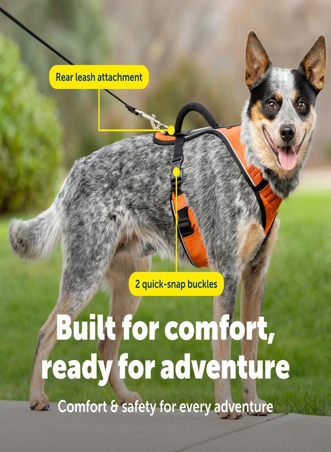 بيت سيف سرج PetSafe EasySport للكلاب، قابل للتعديل، مبطن، مزود بمقبض تحكم وحواف عاكسة، مقاس متوسط، برتقالي - Image 4