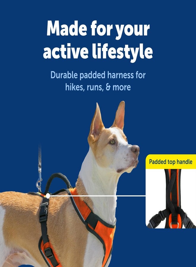 بيت سيف سرج PetSafe EasySport للكلاب، قابل للتعديل، مبطن، مزود بمقبض تحكم وحواف عاكسة، مقاس متوسط، برتقالي - Image 3