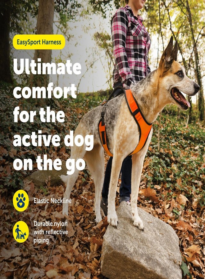 بيت سيف سرج PetSafe EasySport للكلاب، قابل للتعديل، مبطن، مزود بمقبض تحكم وحواف عاكسة، مقاس متوسط، برتقالي - Image 2
