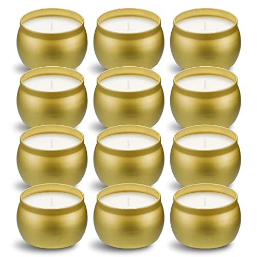Tuyai Scented Candles Gift Set, 12 Pack Natural Soy Wax Single tin 4 oz for Family Gatherings, Festive Candles - Image 1