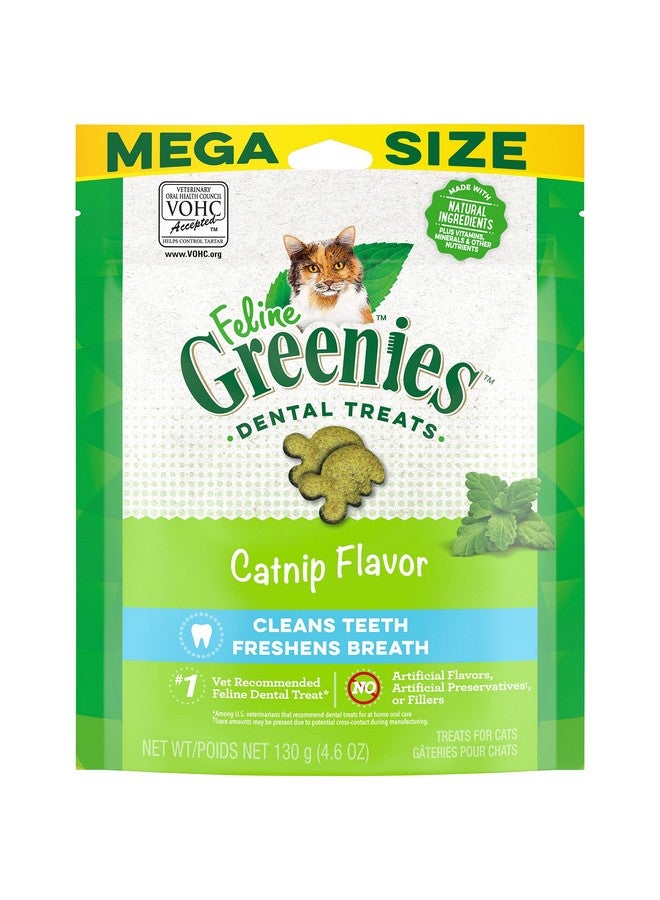 Greenies Feline Adult Natural Dental Care Cat Treats, Catnip Flavor, 4.6 oz. Pouch - Image 1