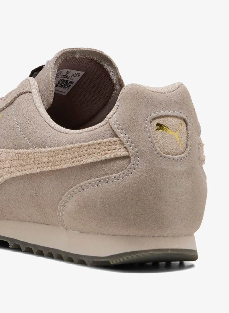Puma Mouse Gray-Silver Fog-Gum Arizona Sd  | Best Price UAE