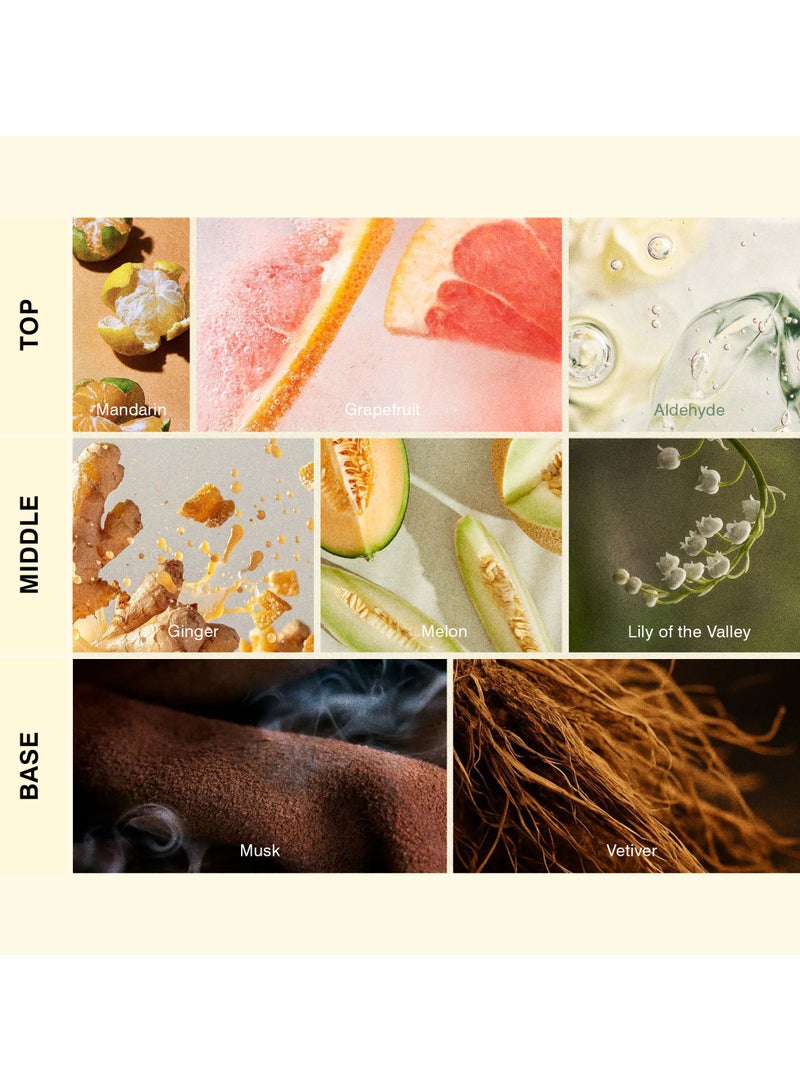 ISCENT | Citrus Elixir Oil Refill for Ensō Diffuser – 100ml Uplifting Scent with Grapefruit, Melon & Musk | Refresh Your Home with an Invigorating Aroma - Image 2