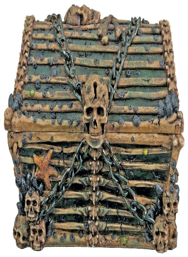 SUMMIT COLLECTION Davy Jones Chest Collectible Pirate Decoration Skeleton Container - Image 1