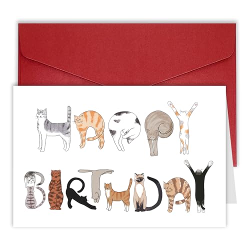 Bhiosng Happy Birthday Card for Cat Lover, Funny Cats Birthday Cards for Men Women, Cute Cat Owner Birthday Gift From Cat, Humor Cat Birthday Gift Card For Dad Mom Brother Sister Cat Lover - Image 1